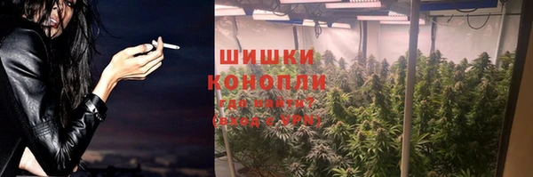 гидропоника Бородино
