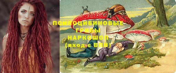 гидропоника Бородино