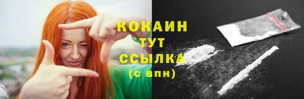 гидропоника Бородино