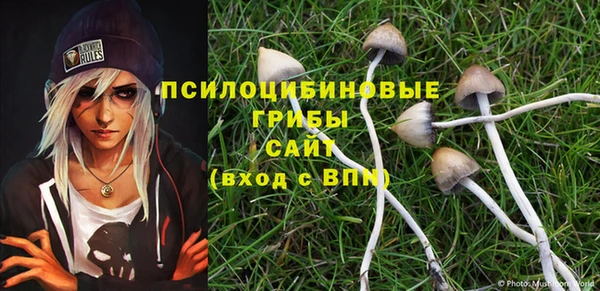 эйфоретик Бронницы