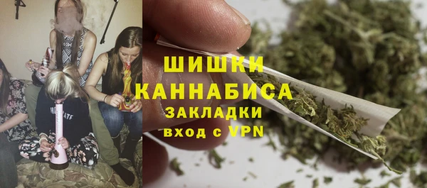 гидропоника Бородино