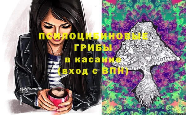 гидропоника Бородино