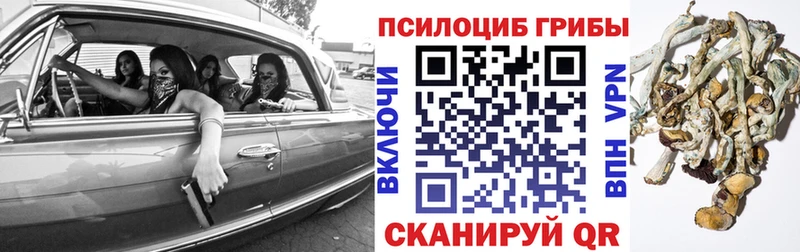 Псилоцибиновые грибы ЛСД  Купить где  Волосово 